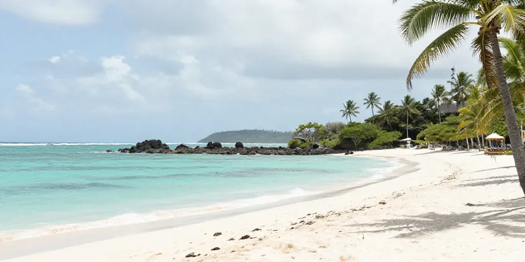 Martinique horaire: à la découverte de l’île aux fleurs