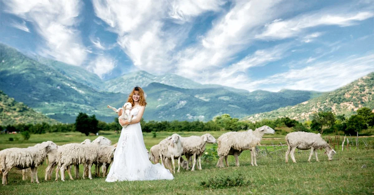 Une femme en robe de mariée tient un agneau entouré de moutons dans un cadre rural pittoresque.