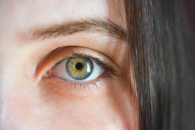 Comment bien entretenir vos sourcils à la maison ?